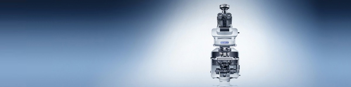 システム顕微鏡 | オリンパス ライフサイエンス