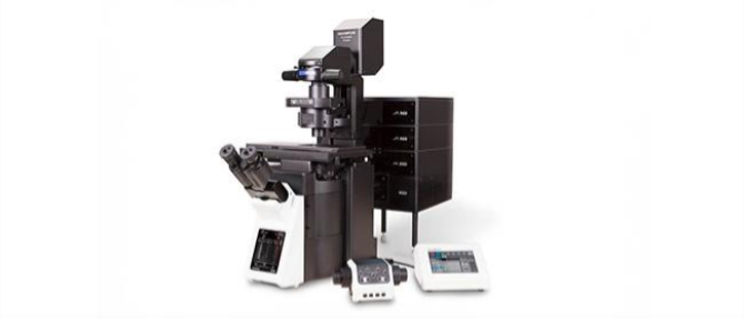 ユウヤ　在庫確認 WEBチラシセール品情報 2月15日～2月21日版 - ツクモ福岡店 最新情報