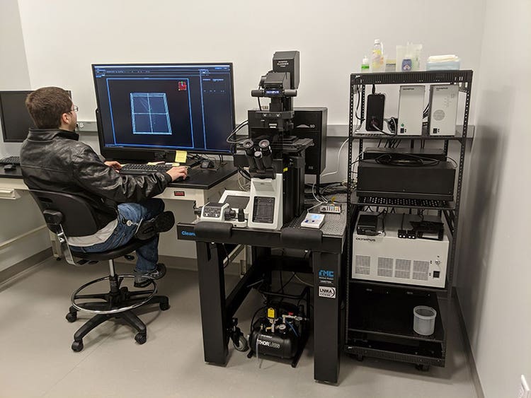 현미경을 사용하는 Vasselli