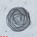 100X 대물렌즈, 1x 확대