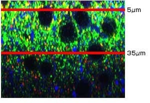 UPLASAPO60XS2 （NA: 1.30, W.D.: 0.3mm)