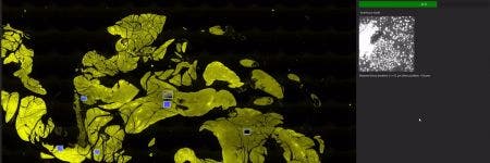 VS200 연구 슬라이드 스캐너 소프트웨어 인터페이스