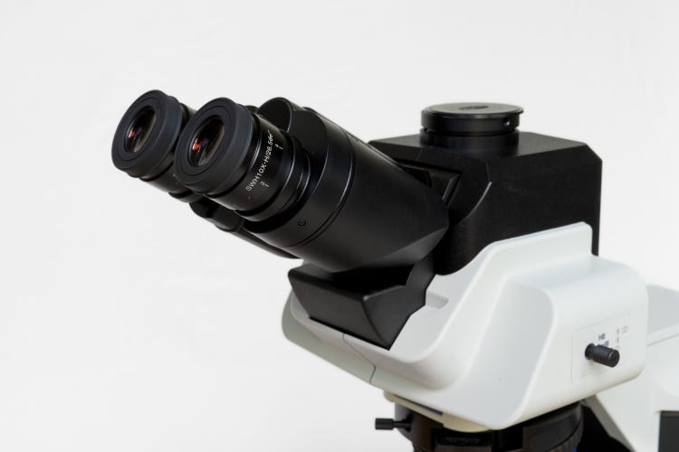 BX upright microscope (시야 26.5 mm)