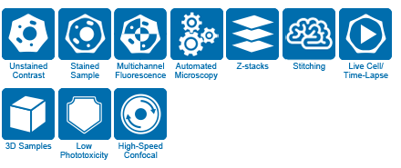 IXplore Spin icon