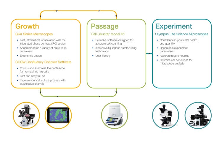 세포 배양 과정 최적화