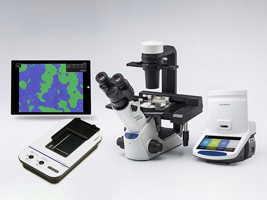 세포 배양 및 품질 관리를 위한 정량적 솔루션