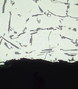 Fully-focused image of the entire sample regardless of irregularities on the polished surface