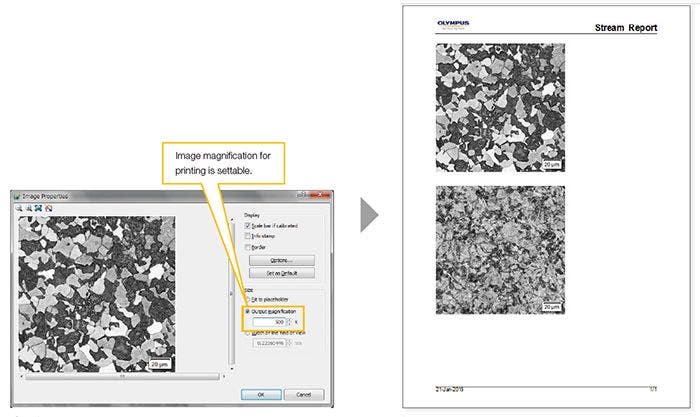 Print images with a desired magnification