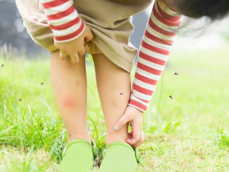 A child touching a leg with a bug on it Description automatically generated with medium confidence