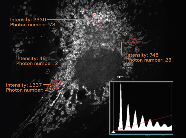 SilVIR detector technology. Histograms show discrete photon counts with quantifiable intensity and minimum background.