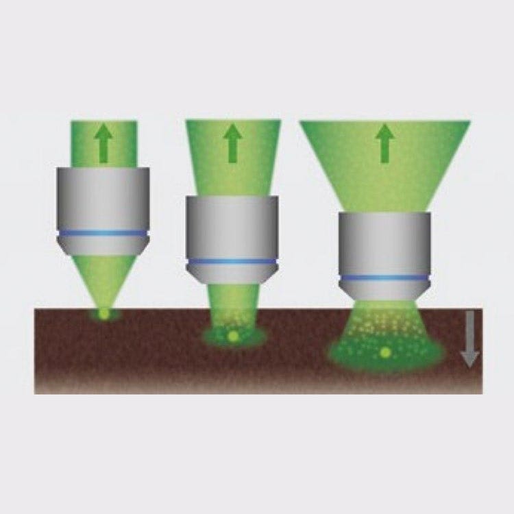 Wide fields of view enable these objectives to efficiently collect scattered fluorescence photons and generate brighter images from deep within specimens.