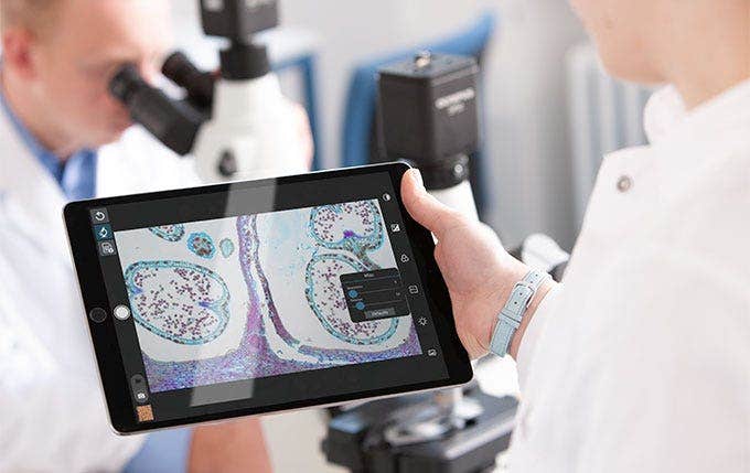 인터랙티브 학습