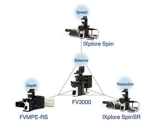 다양한 이미징 기법과 함께 작동