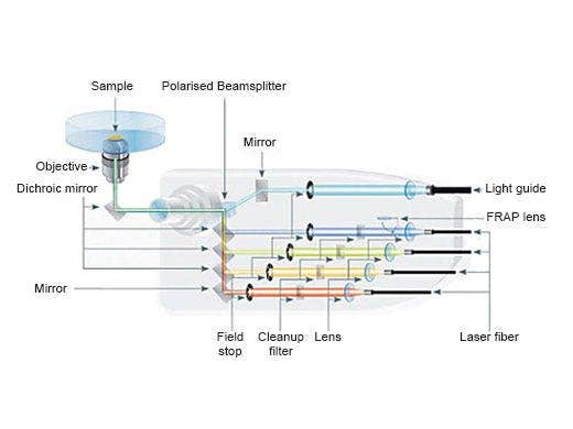 Simultaneous Multicolor TIRF
