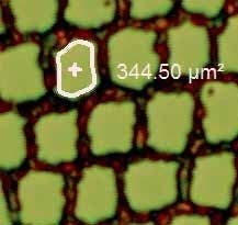 Magic wand (supra conductor)