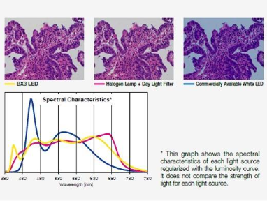 Bright LED Lighting Optimized for Pathology and Cytology