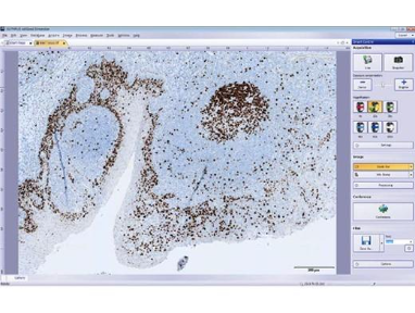 Easily Acquire High-Quality Images with cellSens Software