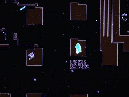 MIX(형광 + 암시야)