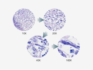 Light Intensity Manager for Uniform Brightness