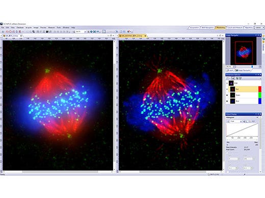 Image Processing and Sharing