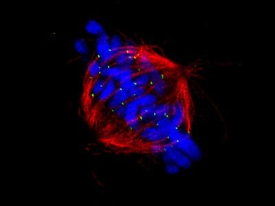 Live Super Resolutions Imaging