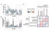 Comparing Human iPS Cell Lines using the CM20 Incubation Monitoring System Part 2: Variations in the Efficiency of Liver Bud Organoid Differentiation among iPS Cell Lines