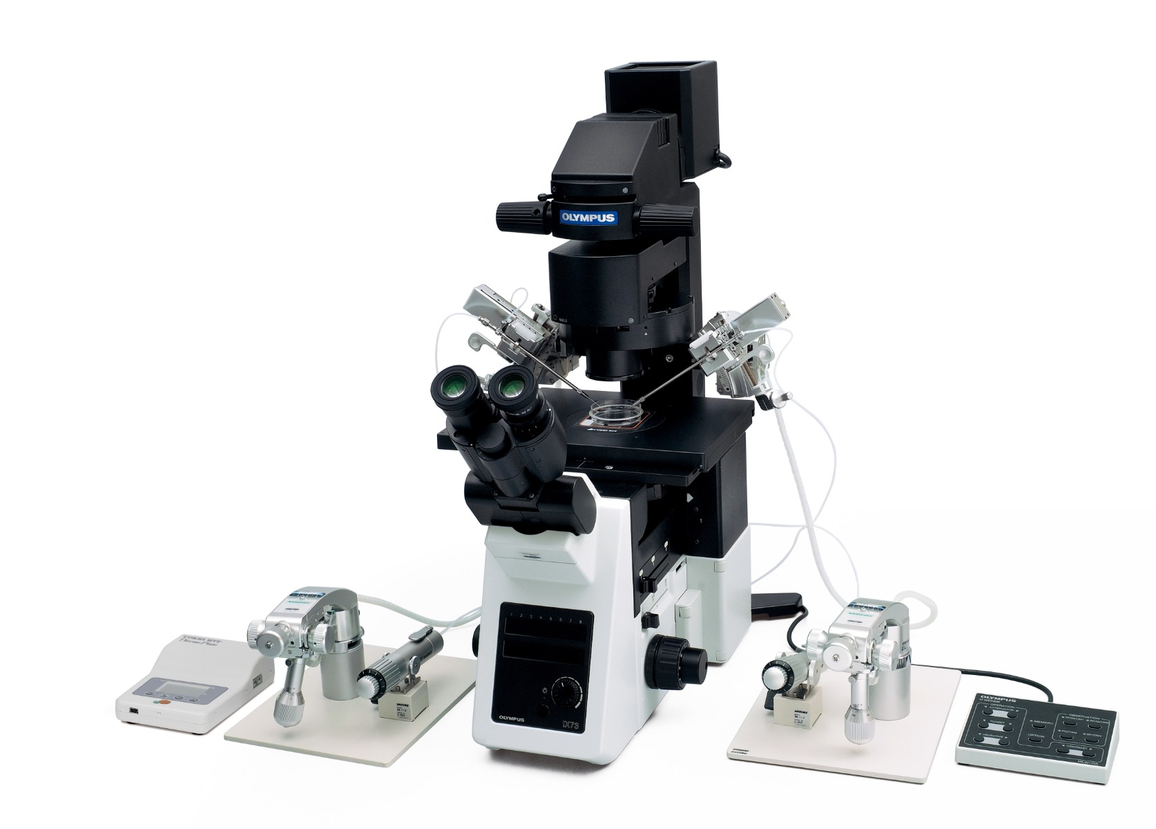 IX3 Microscope (ICSI) | Evident Scientific | Olympus
