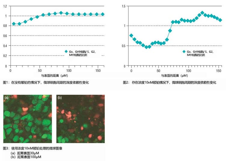 图1：在没有顺铂的情况下，微球细胞周期的深度依赖性变化 图2： 存在浓度10nM顺铂情况下，微球细胞周期的深度依赖性变化 图3：使用浓度10nM顺铂处理的微球图像