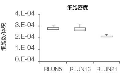 图3 F-PDO形态的3D量化