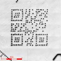 5 倍物镜；5×5 拼接