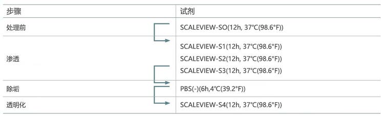 表1.原始SCALEVIEW-S方案