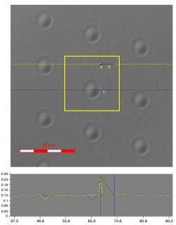 laser_microscopic_image_depth_&_width_&_height