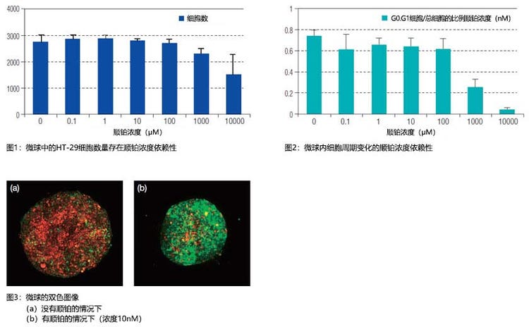图1：微球中的HT-29细胞数量存在顺铂浓度依赖性 图2：微球内细胞周期变化的顺铂浓度依赖性 图3：微球的双色图像