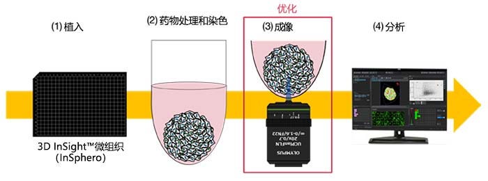 药物评估工作流程