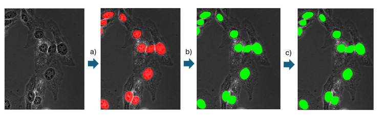 A collage of images of red and green dots Description automatically generated