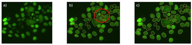 A green circle with a red circle Description automatically generated