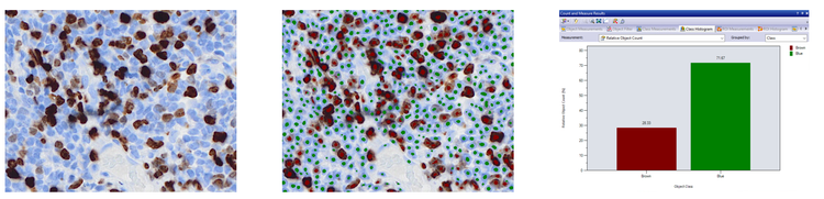 A close-up of a colorful pattern Description automatically generated