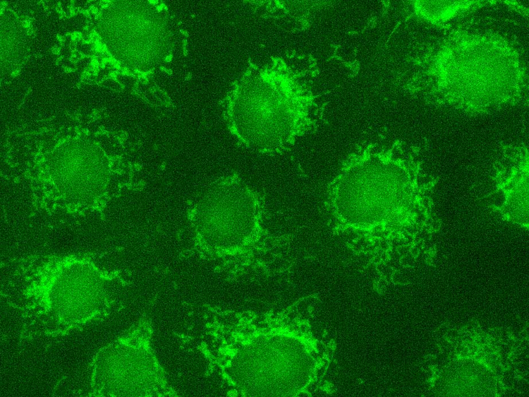 Inserting image..., Picture, Picture