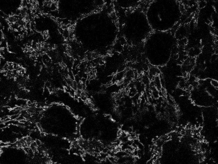 Picture, Picture, Picture