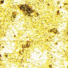 产生眩光的金片