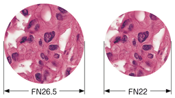 図6 視野数の違いによる見え方の比較