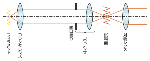 図1 クリティカル照明