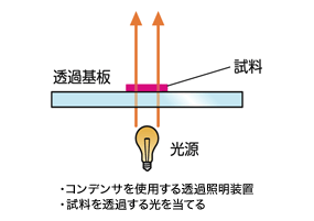 図1 透過型顕微鏡