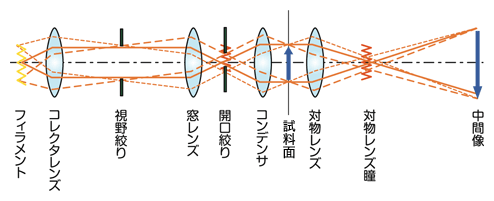 図2 ケーラー照明