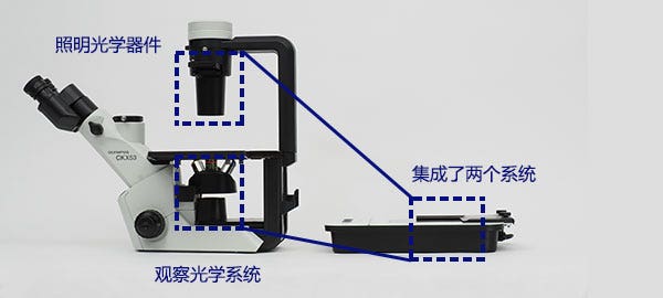 图3.常规细胞培养显微镜（左）和CM20系统（右）的尺寸比较。从侧视图可以清楚看到CM20系统与传统设置相比的紧凑程度。