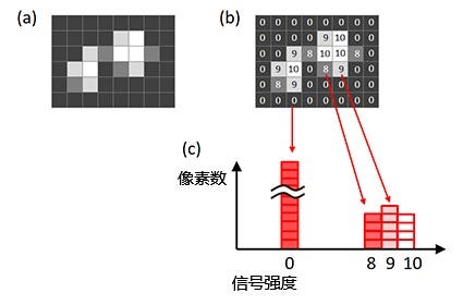 图6 – 图像的直方图（a）原始图像，（b）原始图像中每个像素的信号强度， （c）基于原始图像创建的直方图。