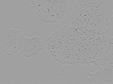 图3.观察同一位置随时间发生的变化