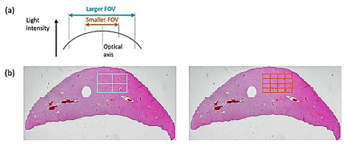 用于避免拼接图像中出现失真效果的视场。