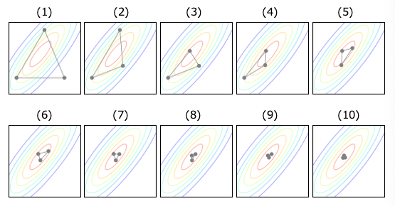 图4. 通过Nelder-Mead方法进行调整的过程。
