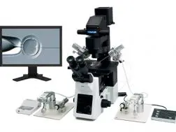 IVF/ICSI Microscope Solutions